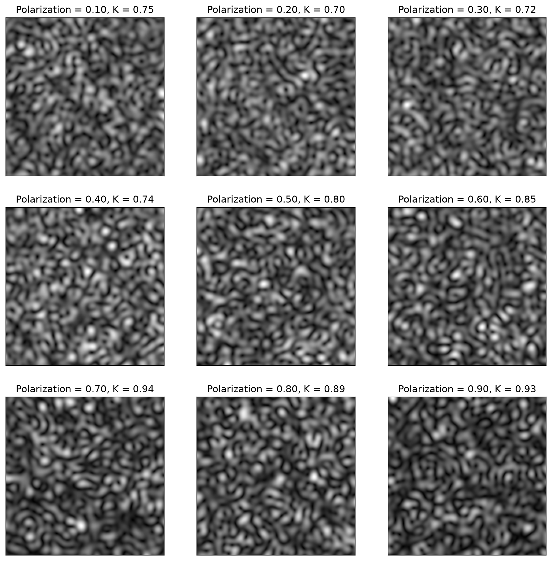 _images/2D-Speckle_20_0.png