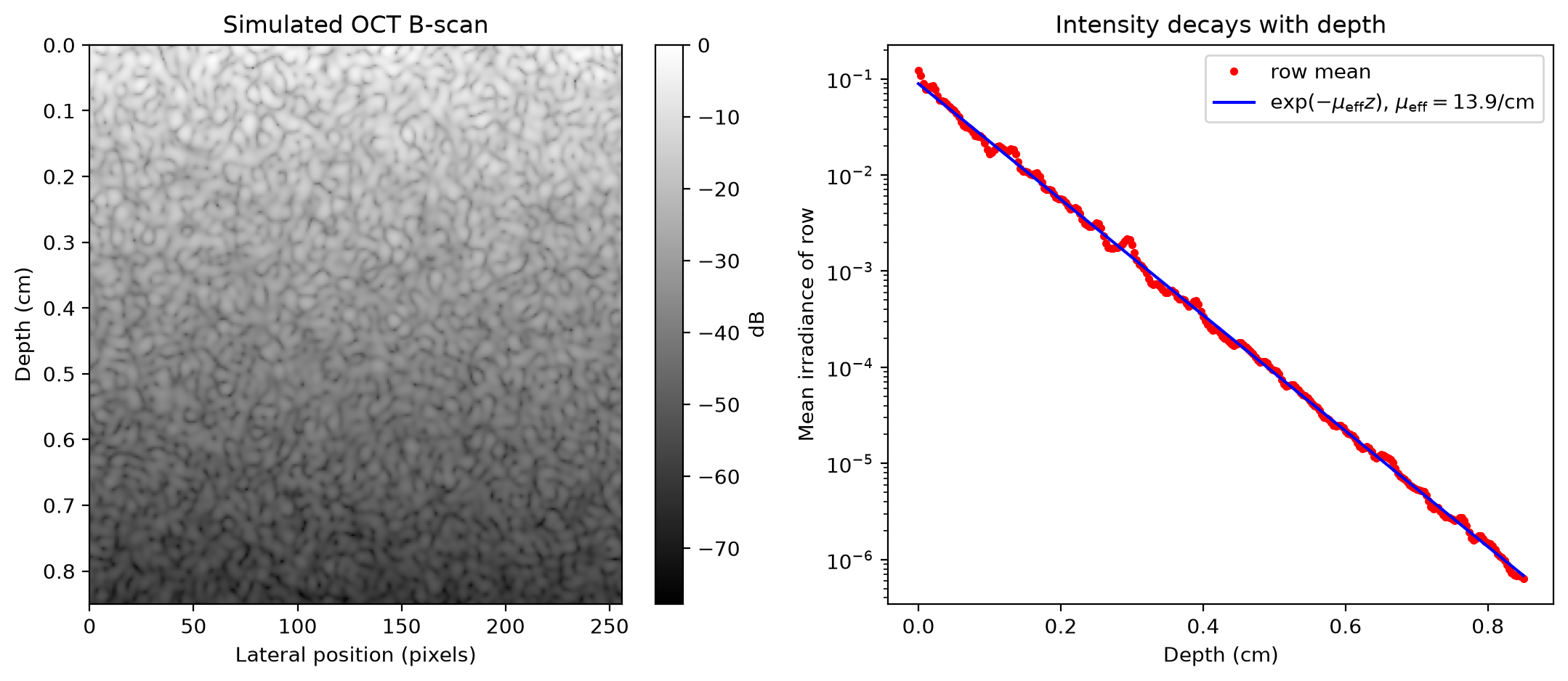 _images/2D-Speckle_39_0.png
